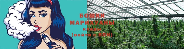 ГАЛЛЮЦИНОГЕННЫЕ ГРИБЫ Касимов