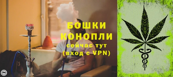 ГАЛЛЮЦИНОГЕННЫЕ ГРИБЫ Касимов