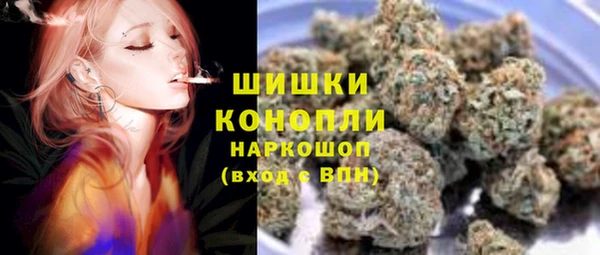 ГАЛЛЮЦИНОГЕННЫЕ ГРИБЫ Касимов