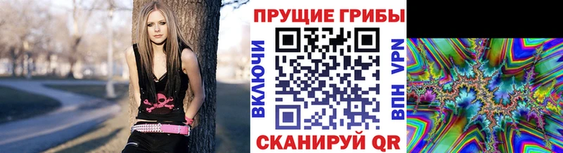 Псилоцибиновые грибы GOLDEN TEACHER  Купить где  Вышний Волочёк 