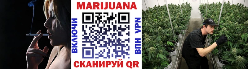 Купить закладки  Вышний Волочёк  Шишки марихуана ГИДРОПОН 